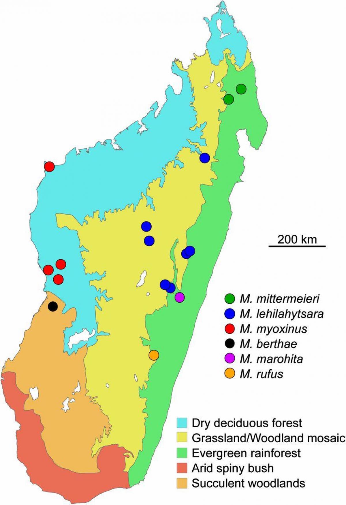 kaart van Madagaskar reënwoud