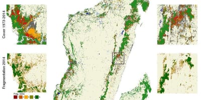 Kaart van Madagaskar ontbossing