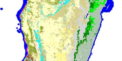 Kaart van Madagaskar plantegroei